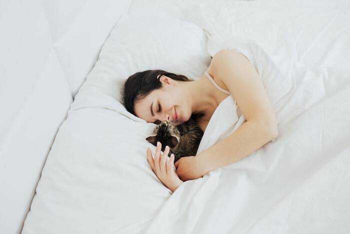 猫が『飼い主の枕』を使って寝たがる理由3つ　隠されている心理や上手な対処法もご紹介