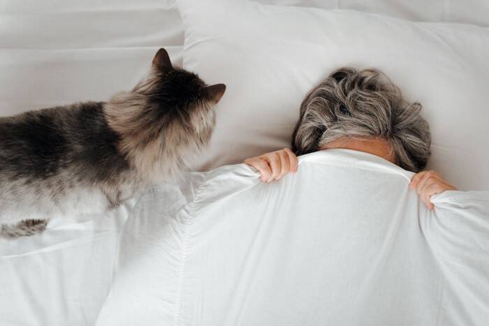 猫が『飼い主の枕』を使って寝たがる理由3つ　隠されている心理や上手な対処法もご紹介