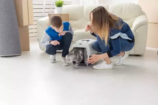 『大人になっている猫』をお迎えするメリット4選　成長後だからこそわかることや子猫との違いを解説