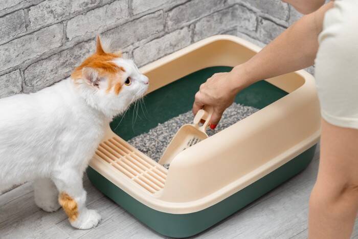 猫が飼い主の『足に噛みついてくる』理由3選　嫌われているわけではない？対処法も解説
