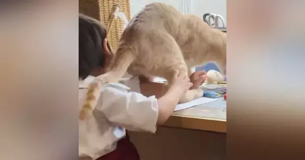 色塗りを楽しんでいた子ども→『かまってほしい猫』がやってきた結果…まさかの光景に「絶対わざとやってるｗ」「とんでもない可愛さ」と話題