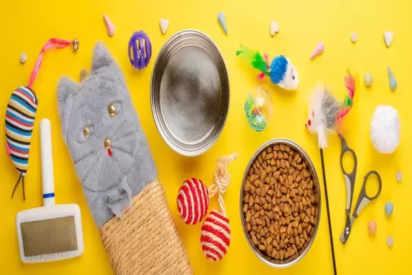 猫の『お気に入りグッズ』を処分するときの注意点4選　愛猫に与える影響や正しい交換方法