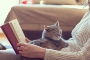 猫は『単頭飼いと多頭飼い』どっちがいいの？メリット・デメリットや迷ったときの判断基準まで
