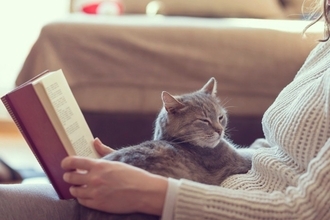 猫は『単頭飼いと多頭飼い』どっちがいいの？メリット・デメリットや迷ったときの判断基準まで