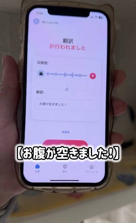 よくお喋りする猫に『翻訳アプリ』を使った結果…あまりにも予想外すぎる『発言内容』に爆笑の声続出「くっそわろた」「天然なのかなｗ」
