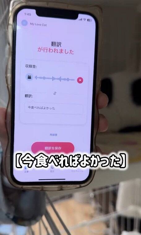 よくお喋りする猫に『翻訳アプリ』を使った結果…あまりにも予想外すぎる『発言内容』に爆笑の声続出「くっそわろた」「天然なのかなｗ」