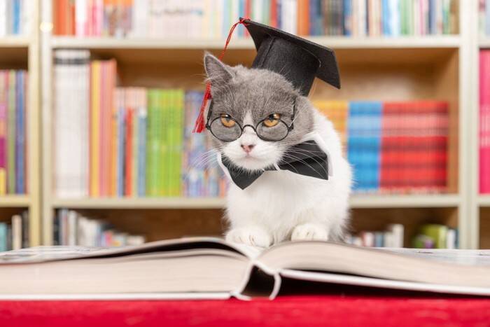 猫が『喉をゴロゴロさせる回数』には遺伝子が関係する？研究で示された意外な事実とは