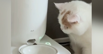 自動給餌器を見つめる猫→『ボタンを長押しして』と伝えてみると…まさかの光景が36万再生「うそ、賢すぎる！」「本当に頭がいい」と驚きの声