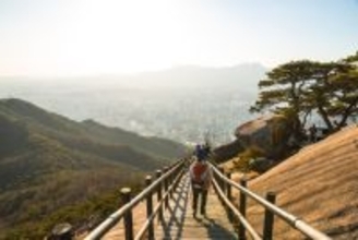 「山に住み着いた猫たち」を目当てに、登山客が増加中　一方で生態系の破壊への懸念も　韓国