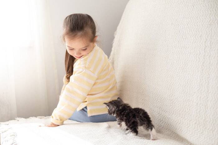 猫が撫でられそうになると逃げる心理5つ　距離を縮めるコツから配慮すべきことまで