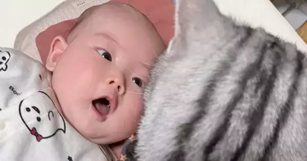 赤ちゃんを隣で見守るネコ→『赤ちゃん視点』から見てみた結果…衝撃的な光景に爆笑「ちょっと怖いｗ」「トラウマになりそうｗ」と２万いいね
