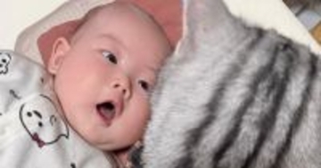 赤ちゃんを隣で見守るネコ→『赤ちゃん視点』から見てみた結果…衝撃的な光景に爆笑「ちょっと怖いｗ」「トラウマになりそうｗ」と２万いいね