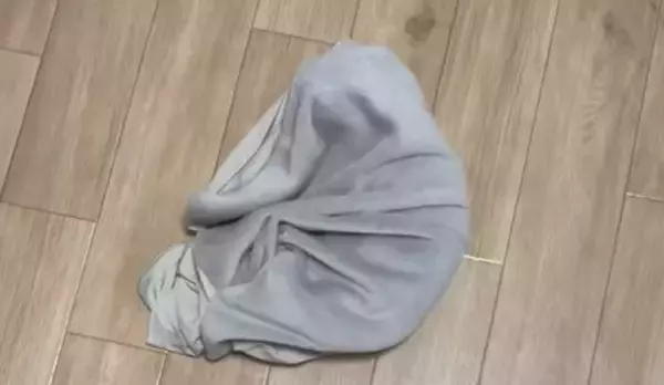 床の上をクネクネとうごめく『怪しい物体』→つついてみると…110万再生を記録した微笑ましい瞬間に「あるあるだよねｗ」「ホラーかと思ったｗ」