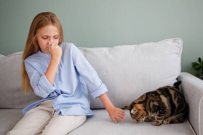 猫にとって厄介な『口内炎』の症状5つ　完治は難しいって本当？予防法まで解説