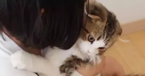 猫への愛が止まらない女の子→ぎゅーっと抱きしめると…とっても仲良しな『ふたりの様子』に「癒されるわぁ」「お互い幸せそう」と反響