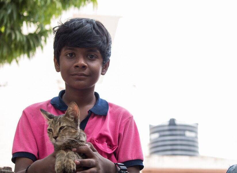 「猫と一緒にフライトを楽しみたい！」インドで広がるペット同伴の飛行機旅行