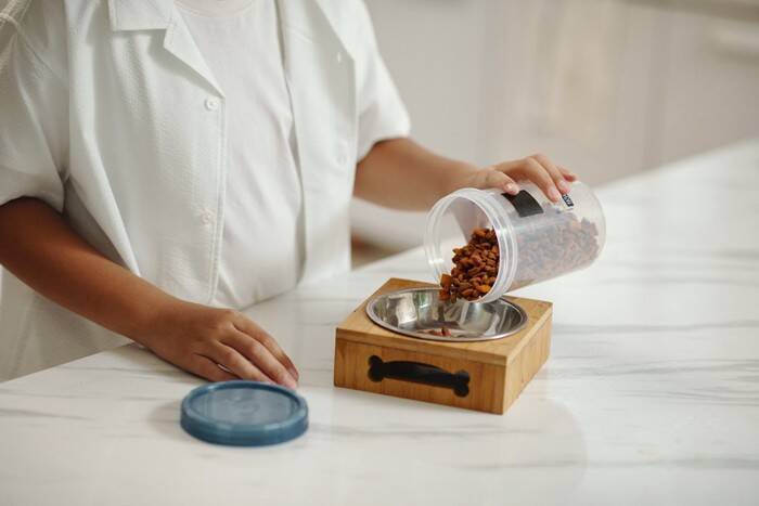 猫の『フード』を切り替えるタイミング4つ　変更の必要性や安全な方法も解説