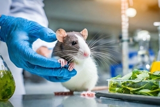 猫にも『くすぐったい』という感覚はある？足の裏やワキ…人とは違う感覚？