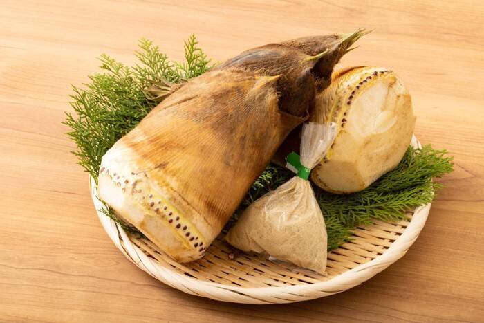 猫に与えるのは避けるべき『春の食べ物』4選　起こりうる健康リスクや注意点を解説