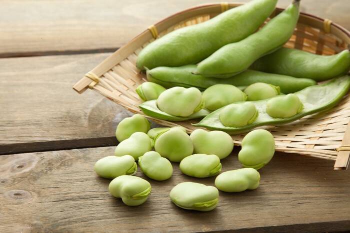 猫に与えるのは避けるべき『春の食べ物』4選　起こりうる健康リスクや注意点を解説