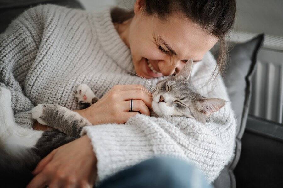 近所を歩き回る愛猫に「ファンレター」が！　大人気の「地域猫」ぶりに、飼い主も感動の涙