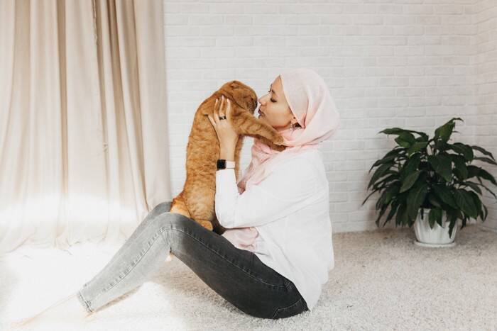 猫がわざわざ『飼い主の顔』に乗ってくる理由3つ　考えられる心理から上手な対処法まで