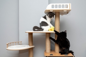 愛猫に合わせた『キャットタワー』の選び方とは？4つの種類やそれぞれの特徴をご紹介