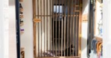 パパに『もっとスマートな猫の脱走防止扉作って』と無茶ぶりしたら…想像を超える"結果"に大絶賛「天才すぎる」「ええ！めっちゃすごい」