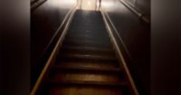家を購入するときに躊躇した『幽霊が出そうな階段』→猫たちが使うと…17万再生の可愛すぎる光景に「釘付けになった」「素晴らしい眺め」と絶賛