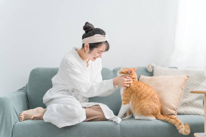 猫にやってはいけない『絶対NGなしつけ方』4つ　かえって逆効果に？適切な方法まで解説
