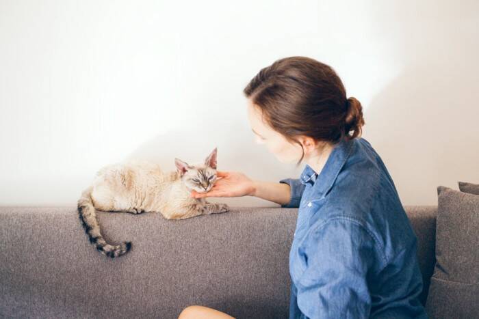 猫の鼻が『ヒクヒク動いている』ときの原因4つ　異常が起きていることも？注意すべきケースまで解説