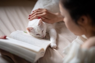 猫と『いつも一緒』に過ごすことで起こるデメリット4つ　悪影響となる理由や適切な距離感も解説