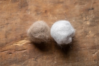 猫の『ブラッシング』をしないと起こるトラブル3つ　習慣づけるべき理由やお手入れのコツも解説