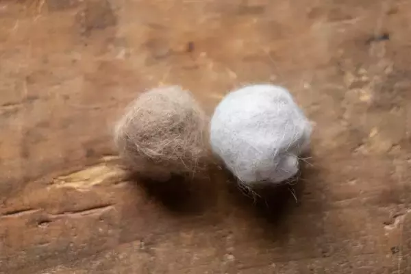 猫の『ブラッシング』をしないと起こるトラブル3つ　習慣づけるべき理由やお手入れのコツも解説