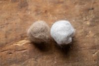 猫の『ブラッシング』をしないと起こるトラブル3つ　習慣づけるべき理由やお手入れのコツも解説