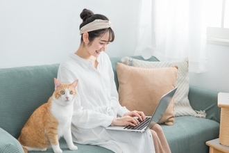 猫が『座る場所』から読み取れる心理4選　飼い主への信頼度がわかる？ケース別の理由も解説