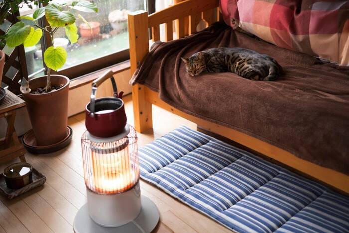 猫が過ごしがちな『お気に入りスポット』7選　好んでいる理由や環境の整え方