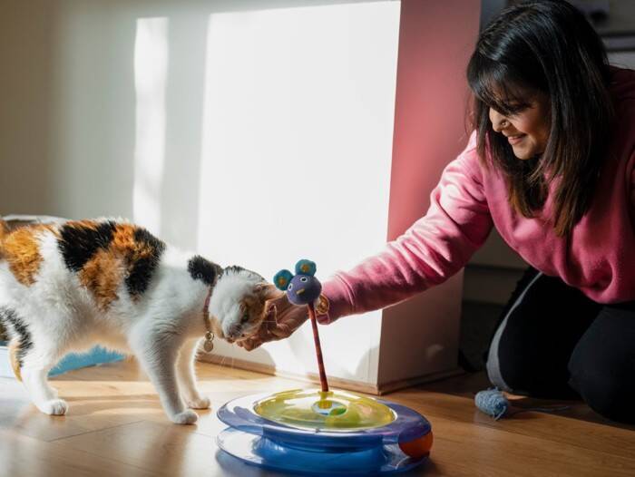 猫の首輪に『鈴をつける』メリット・デメリット4選　音は気になるの？装着する場合の注意点まで