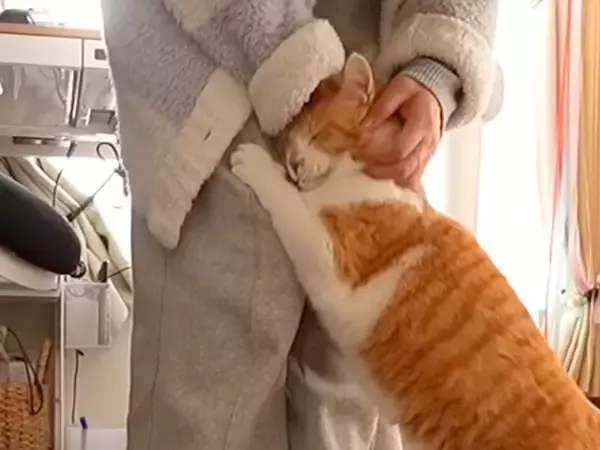 甘えん坊の元野良猫→作業中のママに…かまってほしくて見せた『悶絶級の行動』が29万再生「ほんとに相思相愛なのね」「なんて素敵な日常」