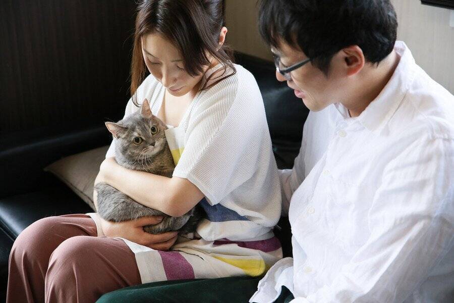 猫の「早食い競争」や「美人コンテスト」…各種ペット競技が盛んに　タイ