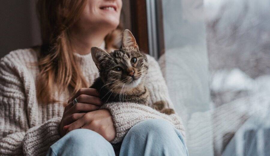 「猫は家族。絶対に置いていけない！」　中東の紛争地帯からペット45匹が避難を果たす　ギリシア