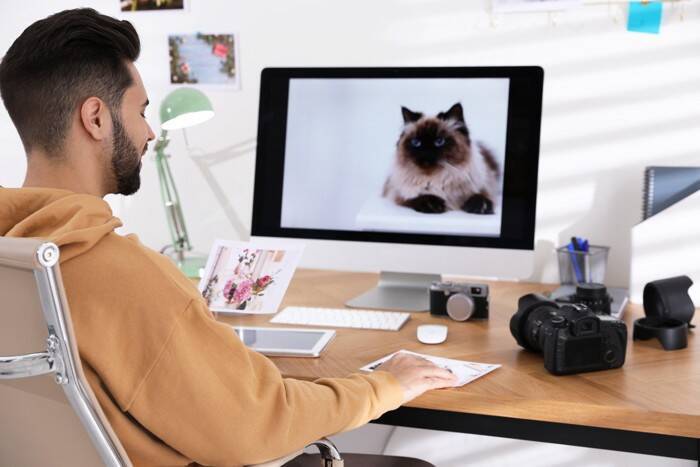 猫を飼えない人のための『猫愛の満たし方』5選　実はこんな楽しみ方も？満足感を高めるコツも