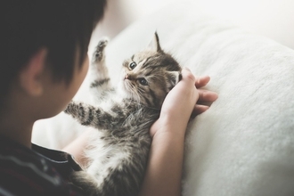 「6歳以下の子どもは猫を虐待する傾向がある」　ショッキングなデータを受けて、保護団体が防止キャンペーンを展開中　英国