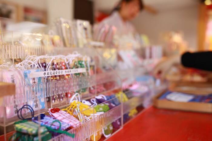 猫の成長を祝う『七五三』のアイデア5選　どんな準備が必要？特別な日にするコツをご紹介