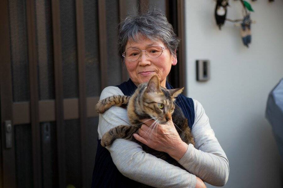 「高齢で病気になり、これ以上飼えない」悲しい手紙とともにペットショップ前に捨てられた猫　　中国