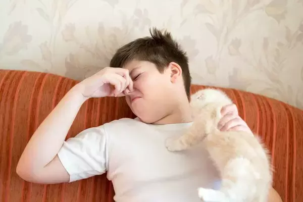 猫から『異臭』がするときに考えられる原因4つ　異常があるサイン？取るべき対処法も解説