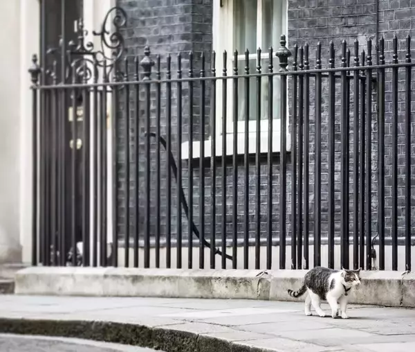Larryにとっては大先輩　「ネズミ捕り主任」として首相官邸に君臨した白黒猫　英国