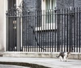 Larryにとっては大先輩　「ネズミ捕り主任」として首相官邸に君臨した白黒猫　英国