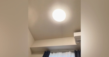 昼寝から目覚めて横を見たら、『愛猫』が…あまりにも『幸せすぎる光景』が60万再生「うわ羨ましいっっっ」「なんだ、自慢か」と反響