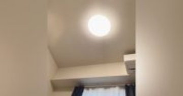 昼寝から目覚めて横を見たら、『愛猫』が…あまりにも『幸せすぎる光景』が60万再生「うわ羨ましいっっっ」「なんだ、自慢か」と反響